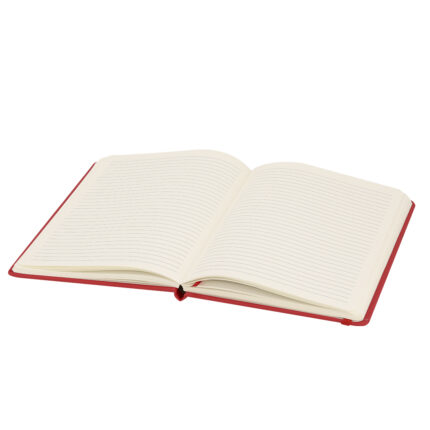 Užrašų bloknotas, 100 lapų, PU