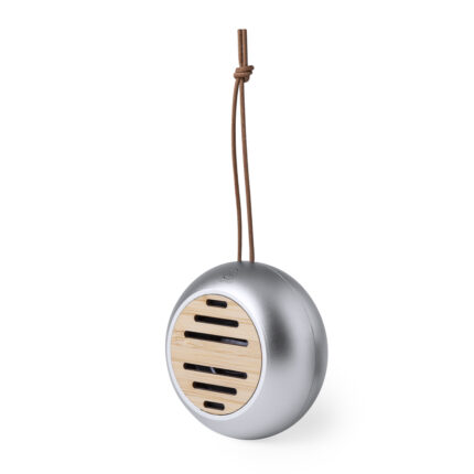 Speaker garsiakalbis – garsiakalbis, Bluetooth ryšys