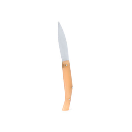 Pocket Knife kišeninis peilis – kišeninis peilis, patogi rankena