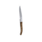Pocket Knife kišeninis peilis – kišeninis peilis, patogi rankena
