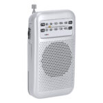 Radio radijas – radijas, 3 W galia