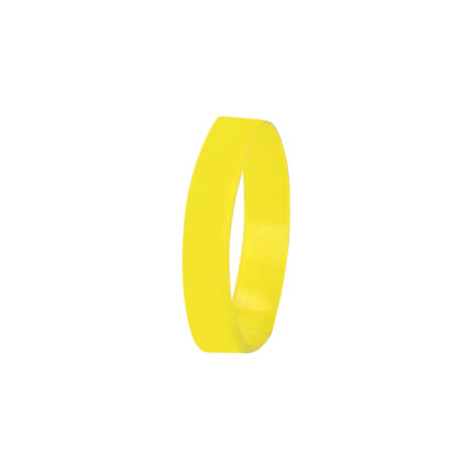 Bracelet apyrankė – apyrankė