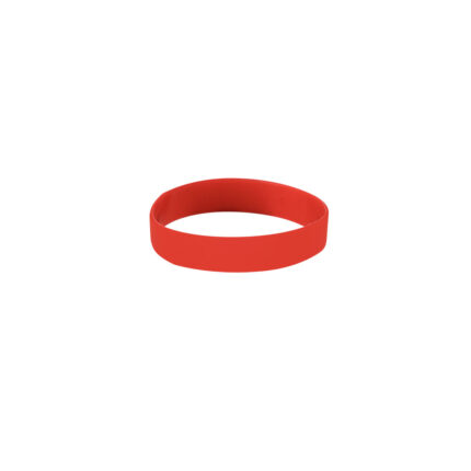 Bracelet apyrankė – apyrankė
