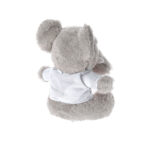 Teddy pliušinis meškiukas – pliušinis meškiukas