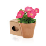 Vazonas, Biodegradable pot