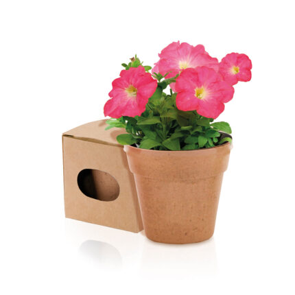 Vazonas, Biodegradable pot
