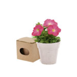 Vazonas, Biodegradable pot