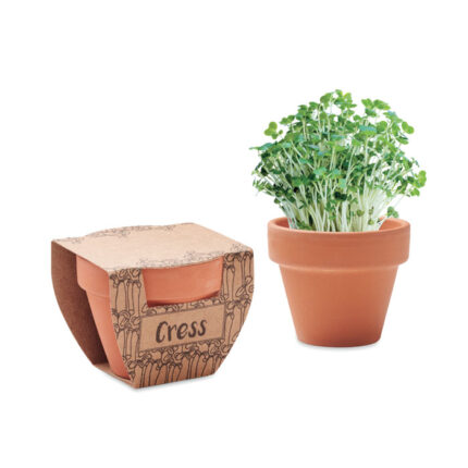 Cress Pot Terakotinis vazonėlis cress sėklos – gaminys iš terakotinis, išsiskiriantis praktišku naudojimu