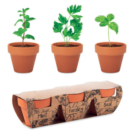 FLOWERPOT Terracotta 3 herb puodų rinkinys – Terracotta 3 herb puodų rinkinys, terakota