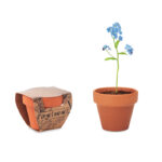 FORGET ME NOT Terracotta puodų 'forget me not' – Terracotta puodų 'forget me not', terakota