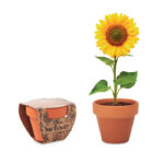 SUNFLOWER Terracotta puodų 'sunflower' – Terracotta puodų 'sunflower', terakota
