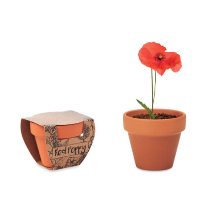 RED POPPY Terracotta puodų 'poppy' – Terracotta puodų 'poppy', terakota