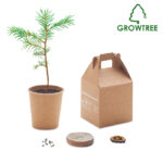 GROWTREE™ pušies sėklų rinkinys – pušies sėklų rinkinys, kartonas