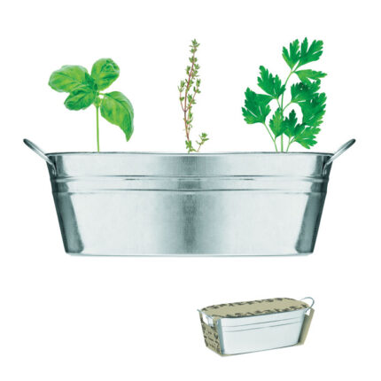 MIX SEEDS cinkuotas indas su 3 žolelių sėklomis – cinkuotas indas su 3 žolelių sėklomis, cinkas