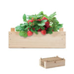 STRAWBERRY braškių auginimo rinkinys medinėje dėžutėje – braškių auginimo rinkinys medinėje dėžutėje, medis